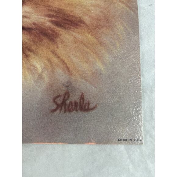 Sherle Kitten Litho Art Prints 2 Museum Editions Siamese Orange Tabby Cats 1967 - Picture 7 of 10